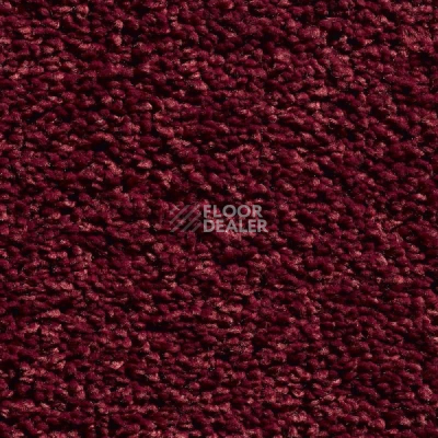 Ковролин Vebe Princess CF 20 фото 1 | FLOORDEALER